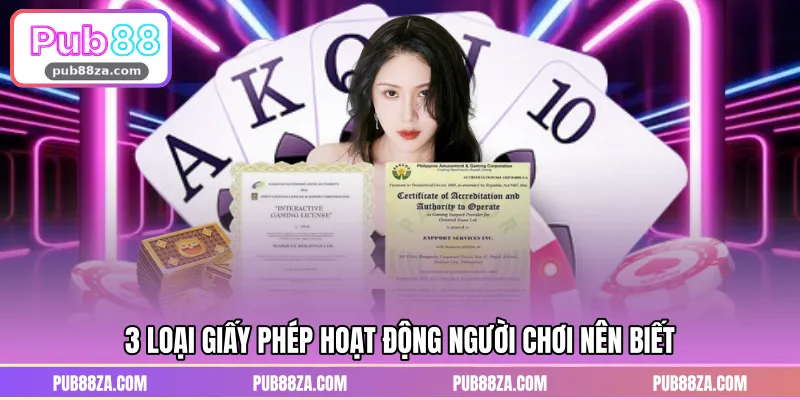 3 loại giấy phép hoạt động người chơi nên biết