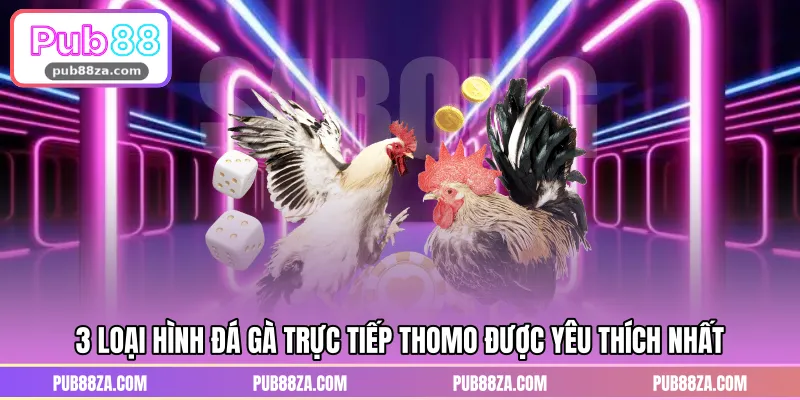 3 loại hình đá gà trực tiếp thomo được yêu thích nhất