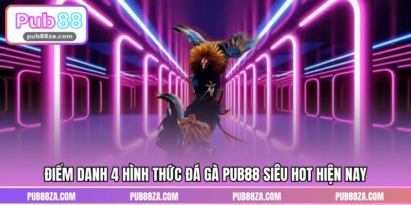 Điểm danh 4 hình thức đá gà PUB88 siêu hot hiện nay