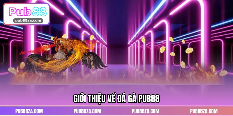Giới thiệu về đá gà PUB88