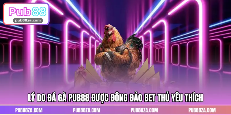 Lý do đá gà PUB88 được đông đảo bet thủ yêu thích